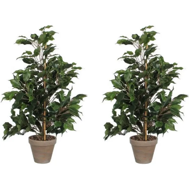 Mica Decorations Kunstplant tropische Ficus - 2x - groen - 65 cm - binnen - kamerplant - nepplant - binnenplanten.