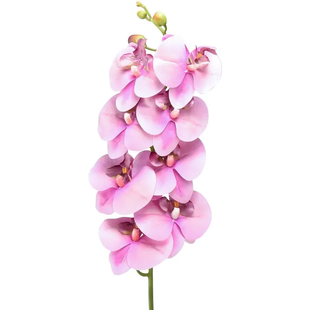 DPI GmbH Orchidee Phalaenopsis kunst 8 bloemen roze 104cm
