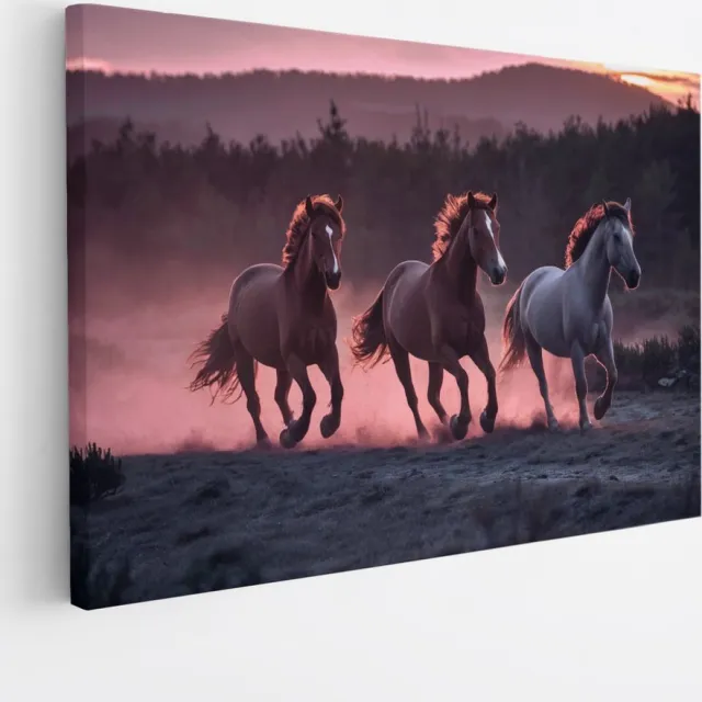 Saammp Canvas Schilderij - Paarden in zonsondergang - Natuur - Dieren - 120x80 - Foto op canvas - Wanddecoratie - Muurdecoratie Woonkamer - Slaapkamer decoratie - Canvas Print Multicolor
