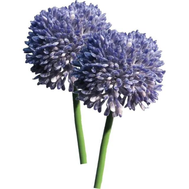 Bellatio Design Sierui Globemaster kunstbloem - 2x - losse stelen - paars - 44 cm - Natuurlijke uitstraling