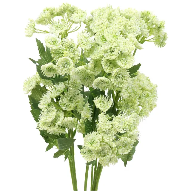 Viana Dille kunst wit 49cm 6 st