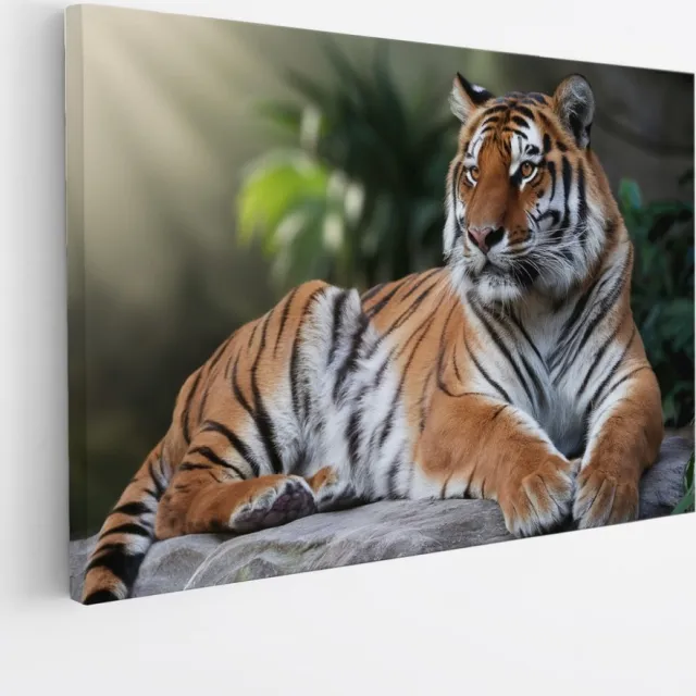 Saammp Canvas Schilderij - Tijger op Steen - Natuur - Dieren - 40x30 - Foto op canvas - Wanddecoratie - muurdecoratie Woonkamer - Slaapkamer decoratie - Canvas Print Multicolor