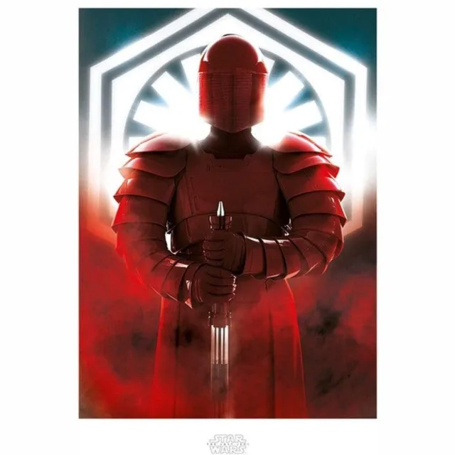 Pyramid Kunstdruk Star Wars - The Last Jedi Elite Guard Defend 60x80cm Divers