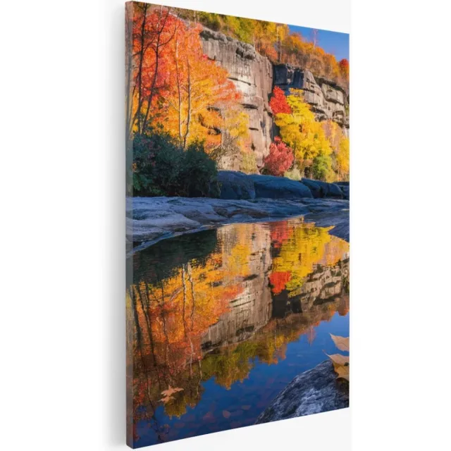 Saammp Canvas Schilderij - Blad op steen - Landschap - Natuur - 40x60 - Foto op canvas - Wanddecoratie - Muurdecoratie Woonkamer - Slaapkamer decoratie - Canvas Print Multicolor