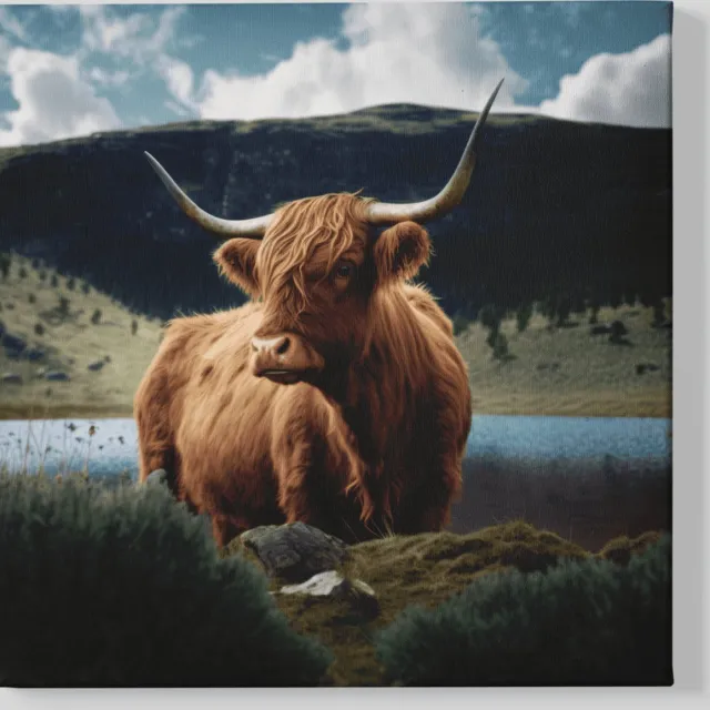 Trendex Global Canvas Schilderij - Dieren - Schotse - Hooglander - 60x60x2 cm Bruin
