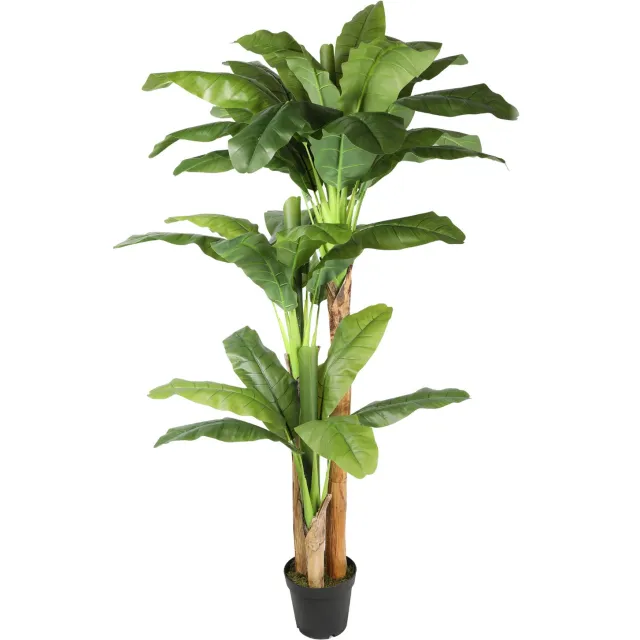 AVH-Collectie Kunstplant bananenboom 220 cm hoog
