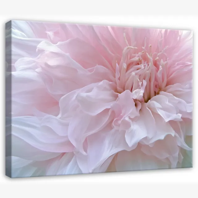 WALLARENA Canvas schilderij 100x70 cm - roze bloemen abstract