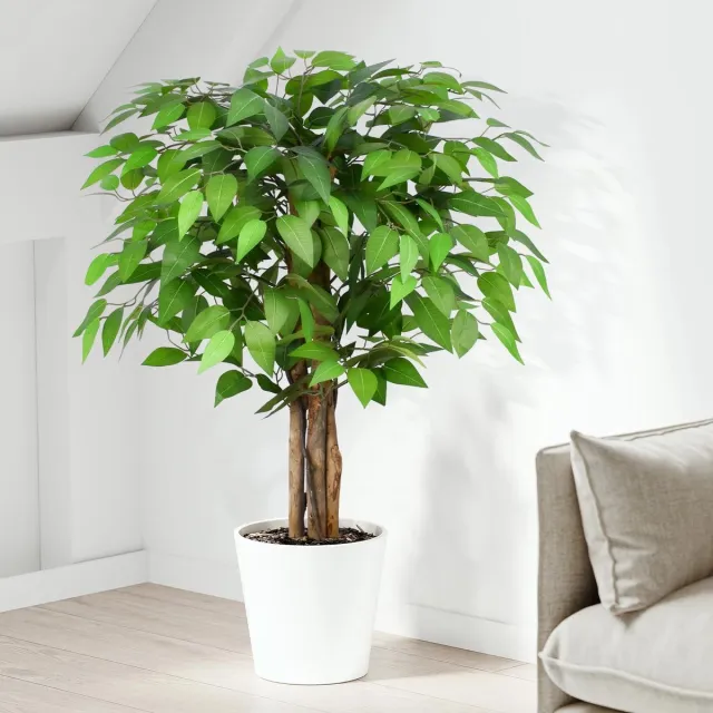 My Ninki ® Kunstmatige Ficusboom van 90 cm met Natuurlijke Stammen en Realistische Bladeren voor Binnen en Buiten groen
