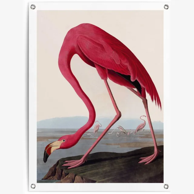 Reinders Tuinposter Flamingo - 80 x 60 - Canvas - REINDERS