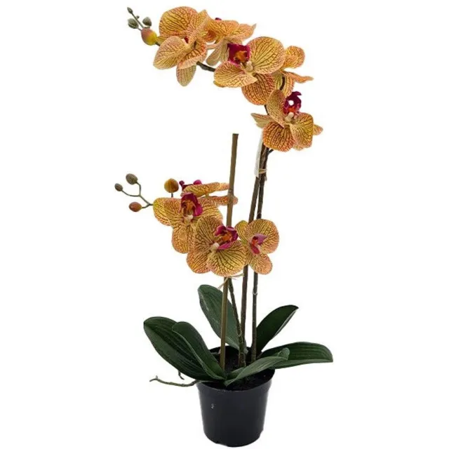 Buitengewoon Boet Phalaenopsis Orchidee in pot x2 50 cm Tiger Yellow kunstplant Buite...