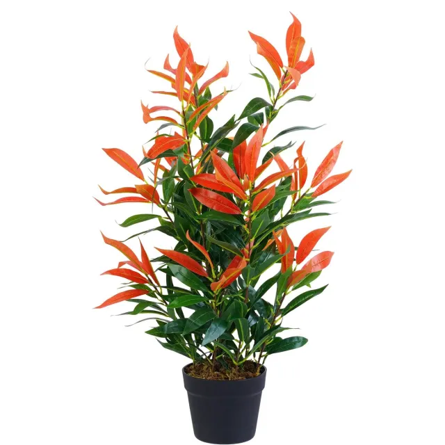 My Ninki ® Kunstmatige Photinia Sierplant voor Binnengebruik - Realistische Groene Decoratie van 80 cm