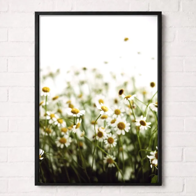 Kleurmedia Witte Margrieten Poster - Wildflower Nature Collection - Natuur Posters - A2+ 43,2 x 61 cm