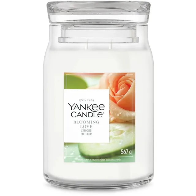 Yankee Candle Blooming Love Large Jar - tot 80 branduren Wit