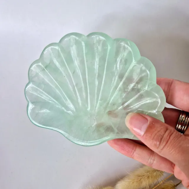 Moonlight Gemstones Edelsteen Carving Schaal Schelpvorm Groene Fluoriet #26 - Uniek Cadeau Meerkleurig