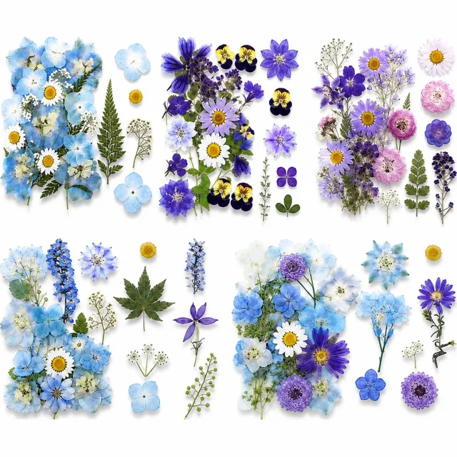 BOTC Natuurlijk Gedroogde Bloemen - Droogbloemen - Set van 5 stuks - Voor Resin Art, Sieraden,en DIY Decoratie Blauw en paars
