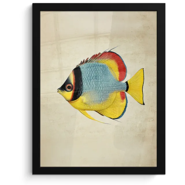 FrameYourWall Poster in lijst - Fotolijst 30x40 cm - Posters - Kleurrijk - Vis - Schubben - Illustratie - Posterlijst zwart - Decoratie - Wanddecoratie woonkamer - Muurdecoratie slaapkamer Vis - Kleurrijk