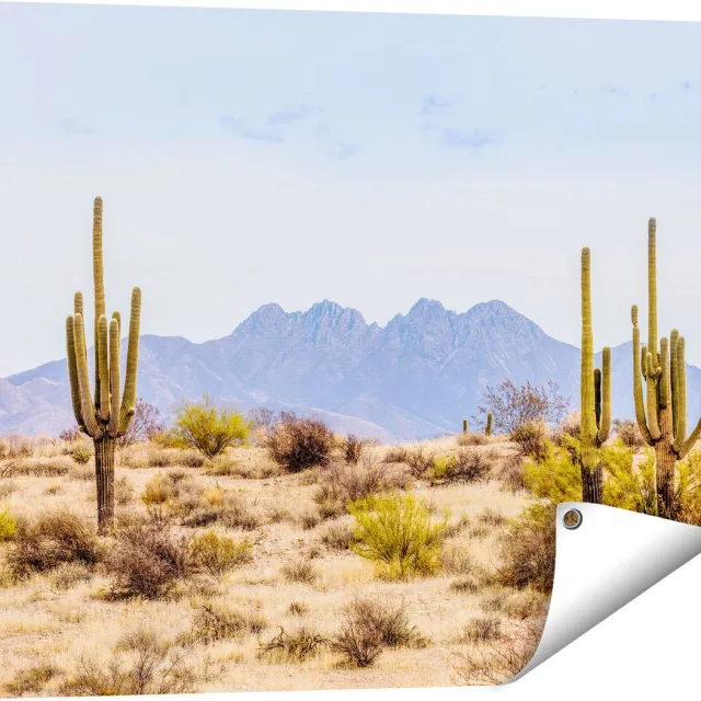 Gards Tuinposter Cactussen in de Woestijn - 80x60 cm - Tuindoek - Tuindecoratie - Wanddecoratie buiten - Tuinschilderij Multikleur