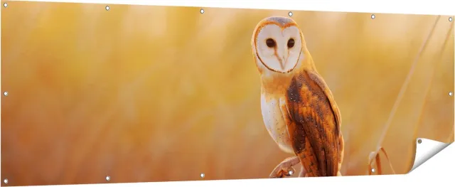 Gards Tuinposter Kerkuil op een Boomstronk - 210x70 cm - Tuindoek - Tuindecoratie - Wanddecoratie buiten - Tuinschilderij Multikleur