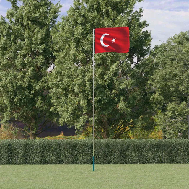 vidaXL Vlag met vlaggenmast Turkije 5,5 m aluminium Zilver
