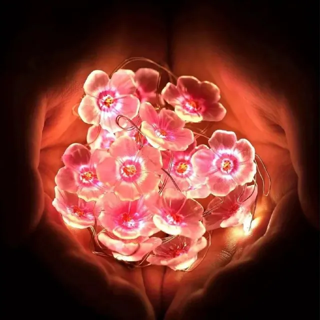 Jonyx Lichtslinger bloemen - LED lampjes bloemetjes - Lampjesslinger - Batterijverlichting - Bloesem - Blossom - Flower lights - Fairy lights - 20 lampjes - 2 meter - Op batterij - Multicolor - Jonyx