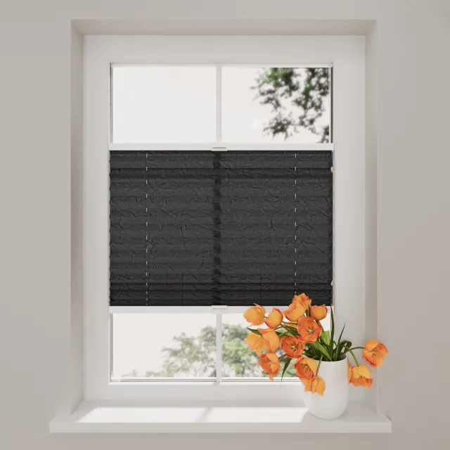 DTCH Plissegordijn Crepe - Lichtdoorlatend - 20 mm - Raven Grey - 120 x 130