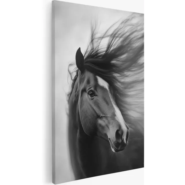 Saammp Canvas Schilderij - Paard met lange manen - Dieren - Natuur - 20x30 - Foto op canvas - Wanddecoratie - Muurdecoratie Woonkamer - Slaapkamer decoratie - Canvas Print Multicolor