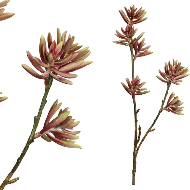 PTMD Succulent Aloe Plicatilistak Kunstplant - 31 x 10 x 49 cm - Rood