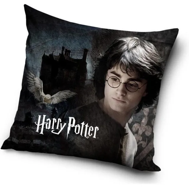 Carbotex Harry Potter - Sierkussen Kussen 40 x 40 cm inclusief vulling zwart