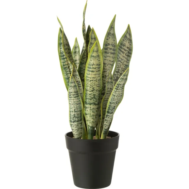J-Line plant Dracaena Trifasciata in pot - kunststof - groen - medium