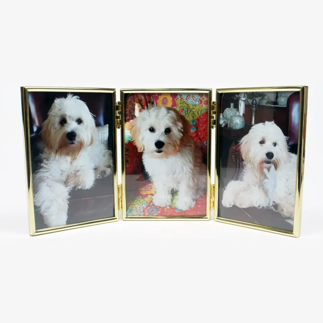 Alle lijsten AL - 3luik Fotolijst - Goud - Bol - 10 x 15 cm