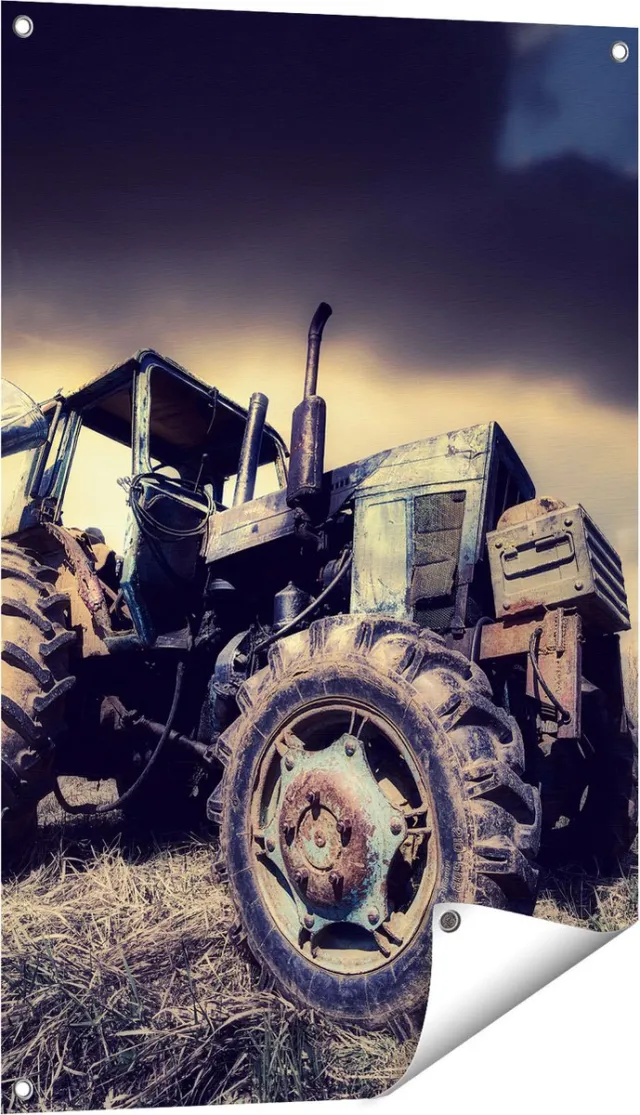 Gards Tuinposter Oude Tractor op het Grasveld - Trekker - 60x90 cm - Tuindoek - Tuindecoratie - Wanddecoratie buiten - Tuinschilderij Multikleur