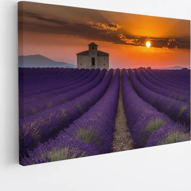 Saammp Canvas Schilderij - Lavendelveld met huis - Natuur - Landschap - 45x30 - Foto op canvas - Wanddecoratie - Muurdecoratie Woonkamer - Slaapkamer decoratie - Canvas Print Multicolor