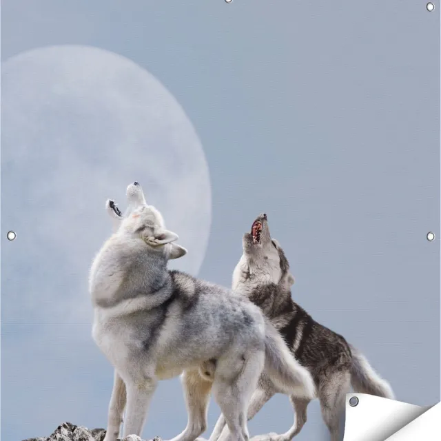 Gards Tuinposter Twee Wolven Die Huilen tijdens Volle Maan - 90x90 cm - Tuindoek - Tuindecoratie - Wanddecoratie buiten - Tuinschilderij Multikleur
