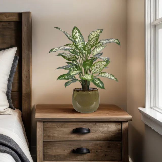 maxifleur Kunstplanten Dieffenbachia Kunstplant Deluxe 60cm in pot Groen