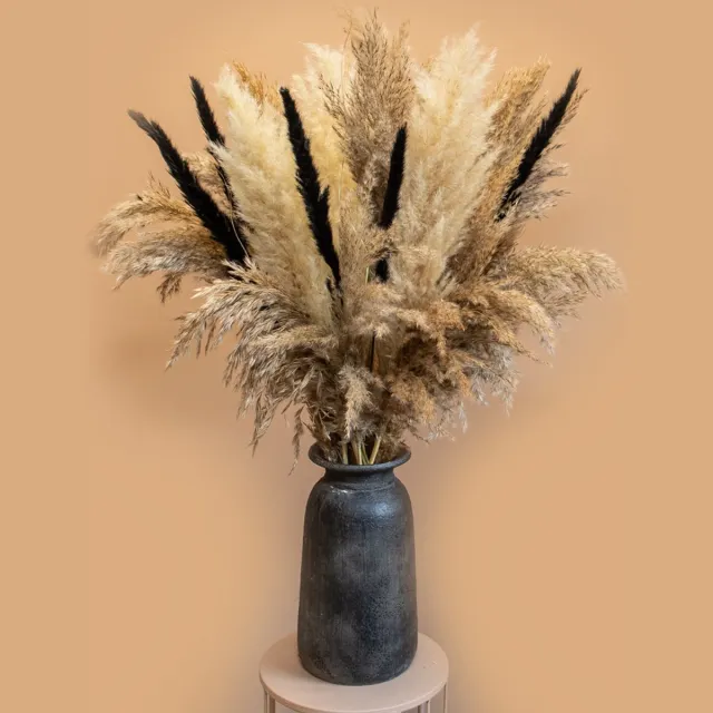 Roselin Deco Droogbloemen boeket Lexie – Luxe pluimboeket met pampas pluimen – Stijlvol droogboeket van 80 cm hoog zwart