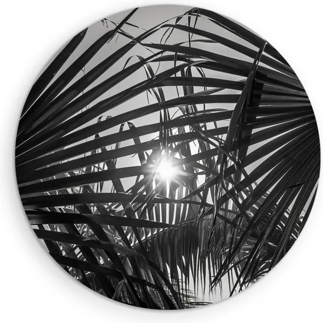 Saammp Forex Muurcirkel - Zon tussen de planten - Zwart-Wit - Landschap - Natuur - Ø 90 - Wandcirkel - Wanddecoratie Cirkel - Muurdecoratie Woonkamer - Slaapkamer decoratie - Rond Schilderij