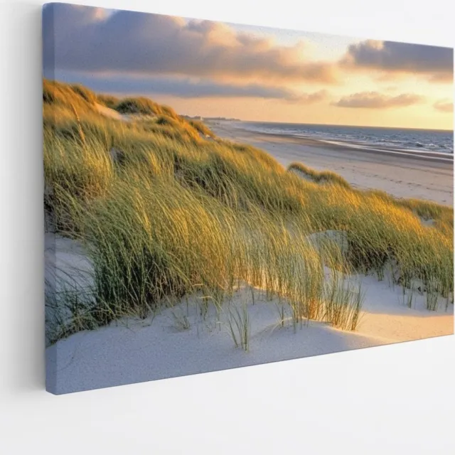 Saammp Canvas Schilderij - Helmgras - strand en zee - Duinen - 60x40 - Foto op canvas - Wanddecoratie - muurdecoratie Woonkamer - Slaapkamer decoratie - Canvas Print Multicolor
