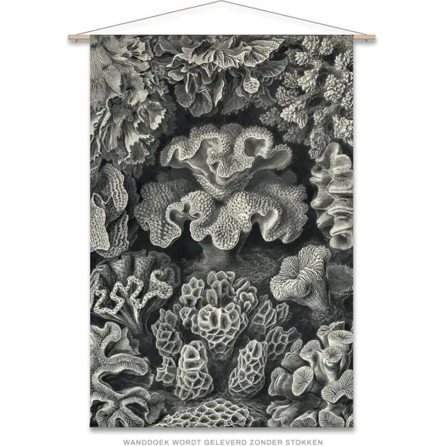 Naturalis Unlimited Wanddoek-XL Ernst Haeckel - Koraal (zonder houten stokken)
