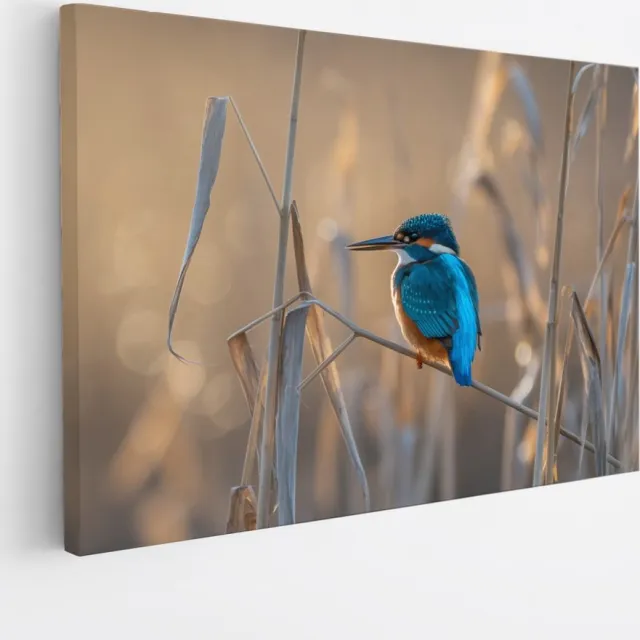 Saammp Canvas Schilderij - Vogel op tak - Dieren - Bloemen - 120x80 - Foto op canvas - Wanddecoratie - muurdecoratie Woonkamer - Slaapkamer decoratie - Canvas Print Multicolor