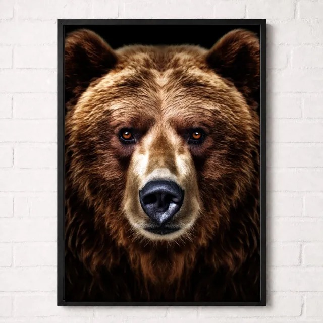 Kleurmedia Bruine Beer Poster - Wildlife Portrait Collection - Dieren Posters - A1+ 61 x 91,5 cm