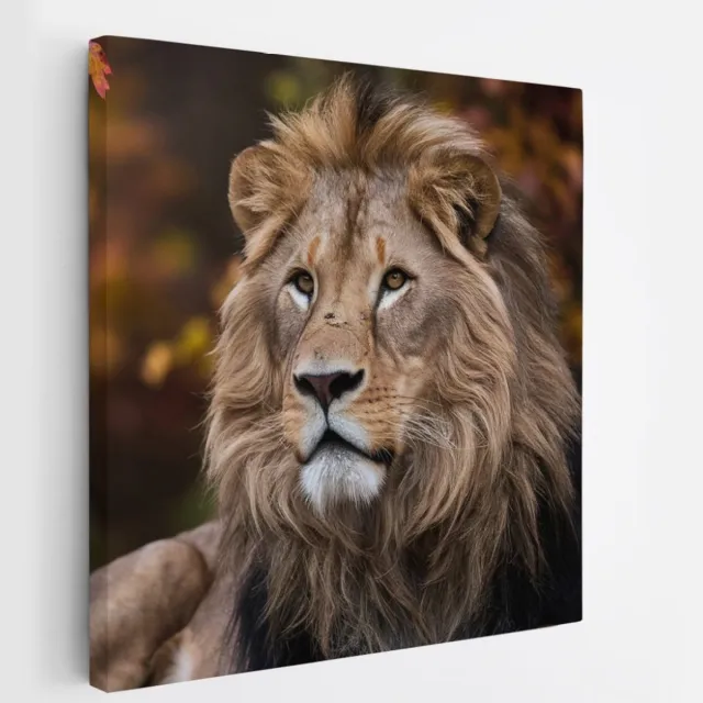 Saammp Canvas Schilderij - Leeuw tussen de herfst bladeren - Dieren - Natuur - 60x60 - Foto op canvas - Wanddecoratie - Muurdecoratie Woonkamer - Slaapkamer decoratie - Canvas Print Multicolor