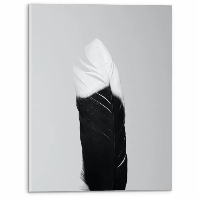 KuijsFotoprint Acrylglas - Zwart/wit Veer - 30x40cm Foto op Acrylglas (Met Ophangsysteem)