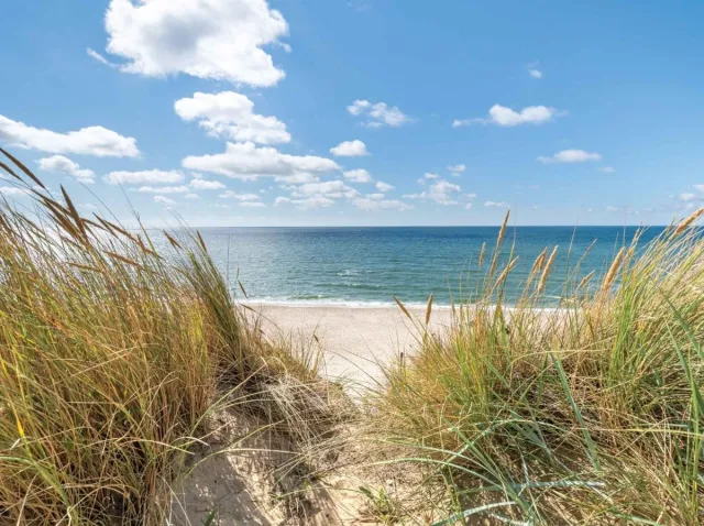 Customize-it Strand duinen 70x50cm Tuinschilderij blauw