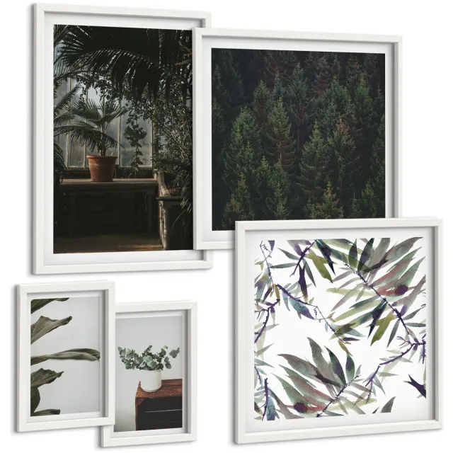 Coloray 5-Delige Schilderij Set - Plantenmotieven En Natuurlijke Accenten In De Groene Oase - 50 x 50 cm, 20 x 30 cm En 40 x 60 cm - Stijlvolle Wanddecoratie - Interieur - Decoratieve Schilderijen Witte lijst