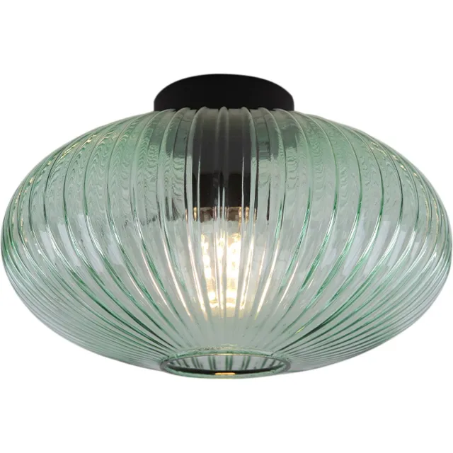 Olucia CHARLOIS - Plafondlamp - Groen / Zwart - Vorm: Ovaal