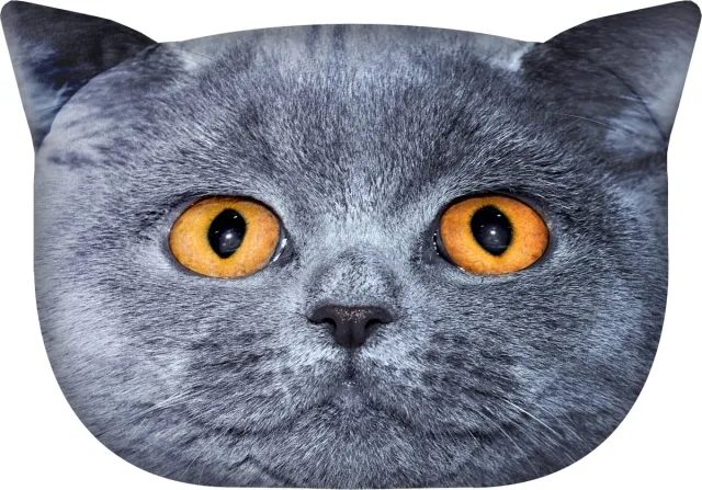 Bertoni Design sierkussen met kat motief Sierkussen met verborgen ritssluiting en vulling Sierkussen Leon multi