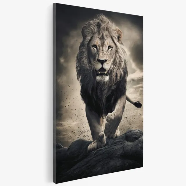 Saammp Canvas Schilderij - Brullende Leeuw op rots - Afrika - Dieren - 30x40 - Foto op canvas - Wanddecoratie - Muurdecoratie Woonkamer - Slaapkamer decoratie - Canvas Print Multicolor