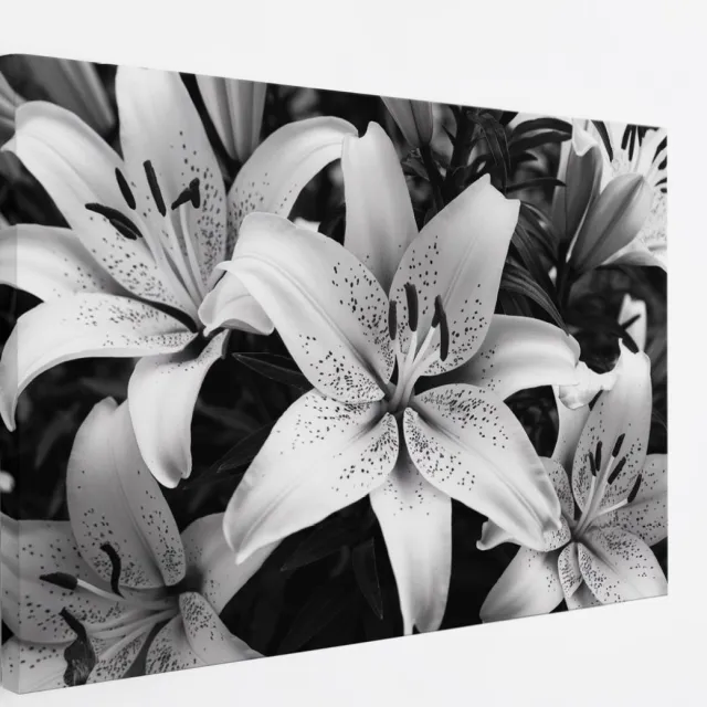 Saammp Canvas Schilderij - Bloemen - Witte Lelies - Natuur - Abstract - 50x40 - Foto op canvas - Wanddecoratie - Muurdecoratie Woonkamer - Kantoor Decoratie Multicolor