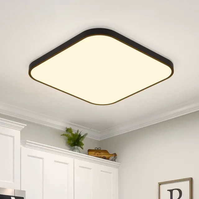 NETTLIFE Plafondlamp - LED - Ø 27 cm - Zwart plafonniére - 19W - warmwit licht - rechthoek