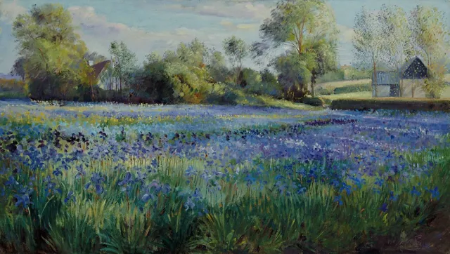 Verkerke poster Verkerke Timothy Easton - Dappled light on Irisfield 80 x 60 cm diversel kleruen